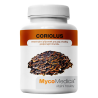 Coriolus